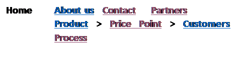 Text Box: Home	About us	Contact	Partners
		Product > Price Point > Customers
		Process
